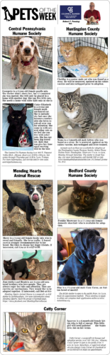 Pets of the Week April 25-26, 2026